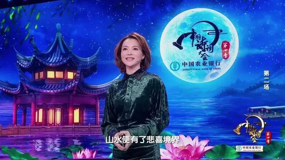 《中国诗词大会》董卿教科书式唯美开场白,堪称作文典范！