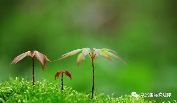 做一个知感恩、懂孝道的人,这样生活才会越来越美好！