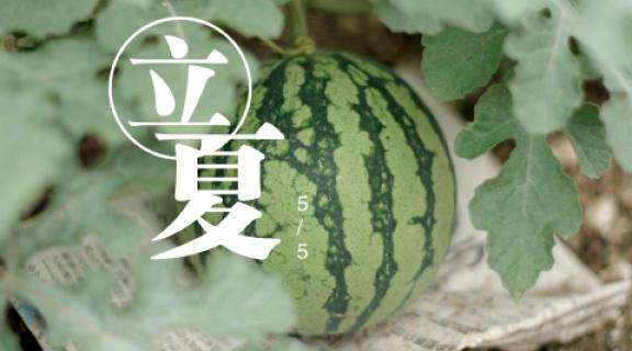 dea4d0fd6a11426b88279e42dbe013a9.jpg